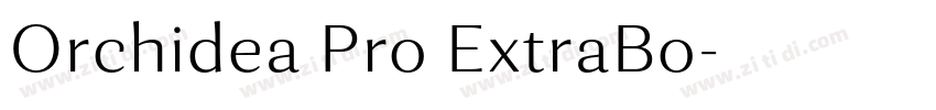 Orchidea Pro ExtraBo字体转换